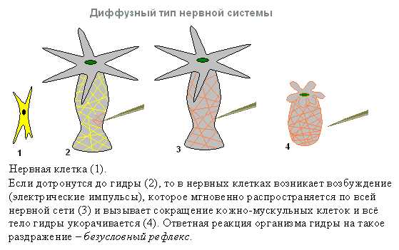 Забыл пароль от кракен